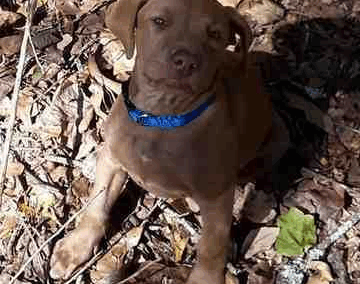 Eventually, I just had to learn to ignore the imposter syndrome